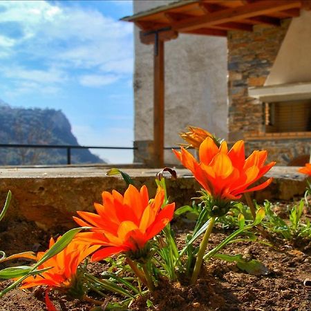 Makrinítsa Volos View Residence المظهر الخارجي الصورة